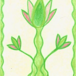 A2 Lichtheilung